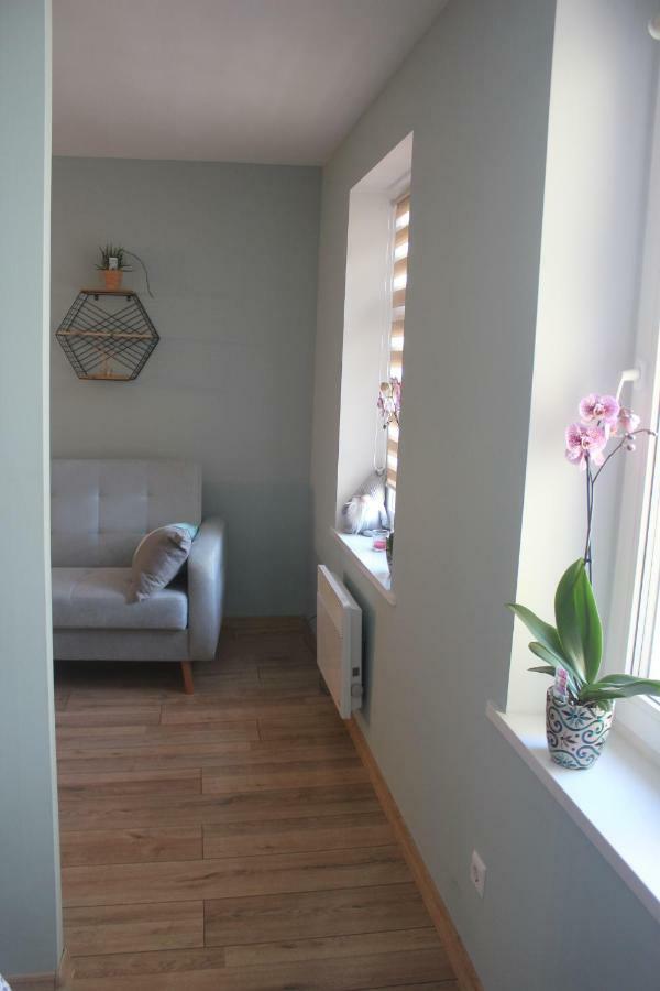 Apartament Bankowa Jelenia Góra Εξωτερικό φωτογραφία